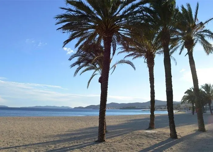 Lv280-f302 2 Couchages * Le Lavandou