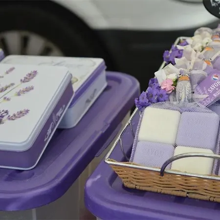 Appartement Lv280-f302 2 Couchages Le Lavandou *